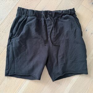 Everyday Sunday men’s  large shorts